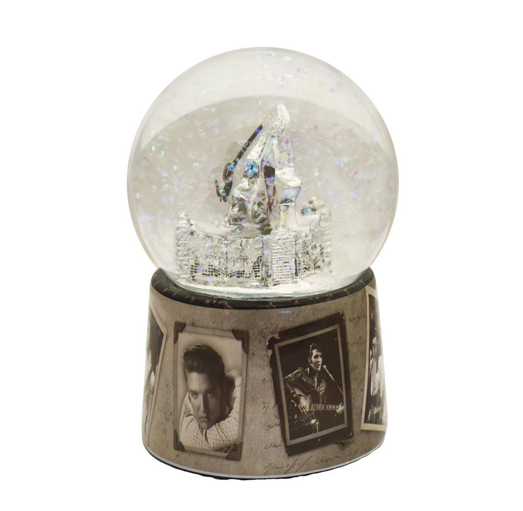 Elvis Snowglobe - Frames