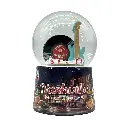 Nashville Snowglobe - Record