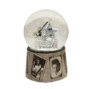 Elvis Snowglobe - Frames