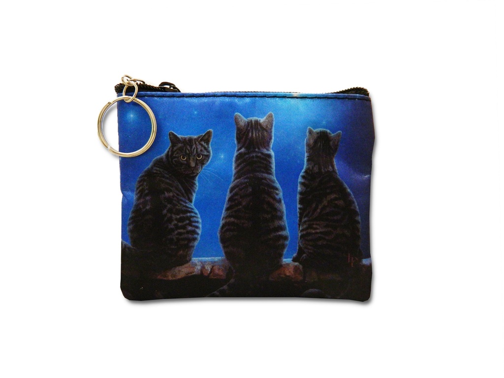 Lisa Parker Art Key Chain/Coin Purse - Wish Upon a Star