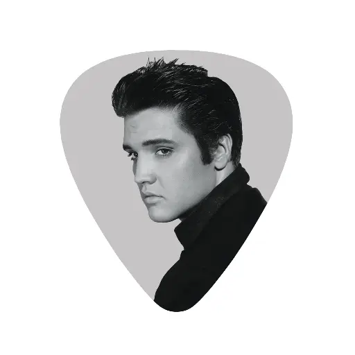 [E8070-E] Elvis Guitar Pick - Profile