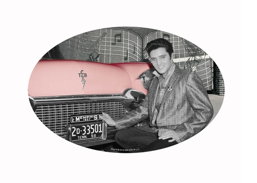 [E8838] Elvis Sticker - With Car