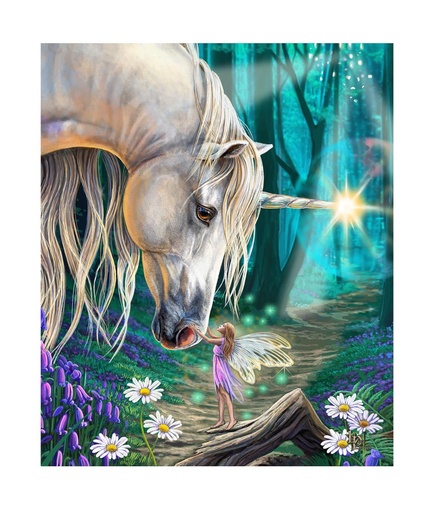 [P6226] Lisa Parker Art Throw Blanket - Fairy Whispers